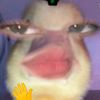 mmomon_123