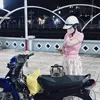 fbthaomy06