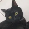 xluxy