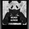 wilmer.alfre2