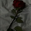 rose.patel_42