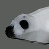 dy_byte