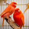 eman_mohamed2023
