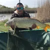 dianatanasov8