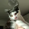 riobiscuitss