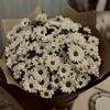 anna_ar_29.10