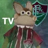 cavalinhodo_fluminense