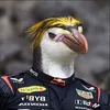 pinguimverstapen16
