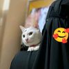 sultanaasma7