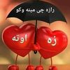 zawarhussaian3