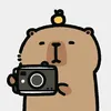 moe_riviu