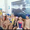 dolbaeb_1488_52