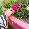 userayeshajhan
