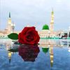 ahmed.malik1242