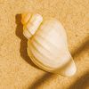 affiliate_pemula.0987