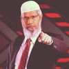 el.faruk4