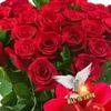 sumi.akter3543