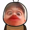 dahuonghh