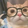 caxlle_vlrx
