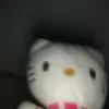 csokasuaqqo