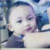 shrwn.dhv