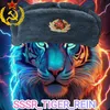 tiger_rein