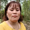 nguynthcmnhung434