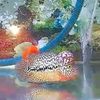 farzana_aquatiq