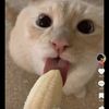 lolagqqkw4w