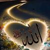 user2814654821422