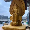 diunnguyendogo