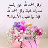 shereen.salah7