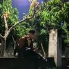 indrayudasaputra0