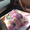 janny.rose73