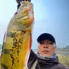 bnh.bolero