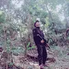 i.lm.v.ngho