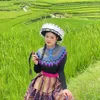 linhdung61