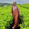 ushiathiya.tya