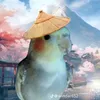 1piquant