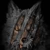 wolf0751