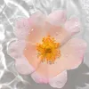 bloombloom539