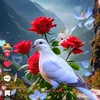 user93660338007028