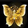 user7755771146678