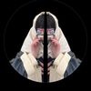 enator_5