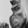 sebas1233355