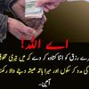 .rajput.6611