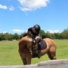 breeze_eq1014