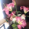 naty798012