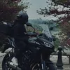 blackline_78