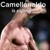 camellonaldo92